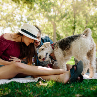 Young couple and their dog